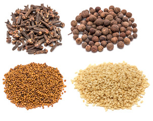 Spices and seasonings piles on a white background
