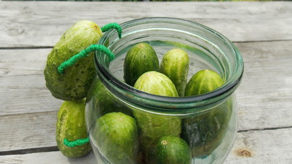 Два огурца лезут в банку крупным планом