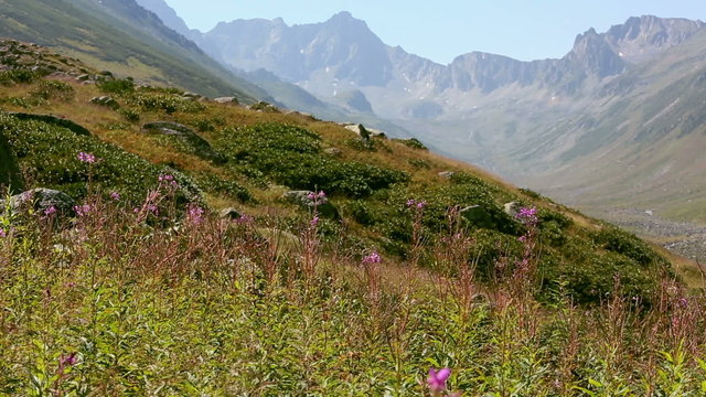 Hillside of Kackar Mountain ,North Anatolia , Turkey