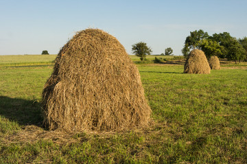 Kopa siana © Grzegorz Piaskowski