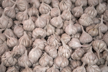 Garlic on the market