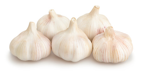 Obraz premium garlic