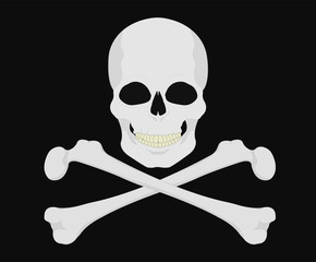 Jolly Roger. Skull with crossbones