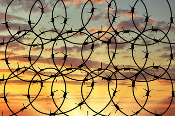  Silhouette of barbed wire