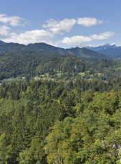 Fototapeta na wymiar Alps landscape in Slovenia