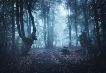Fotobehang Donker herfstbos in mist. Prachtig natuurlijk landschap. © den-belitsky