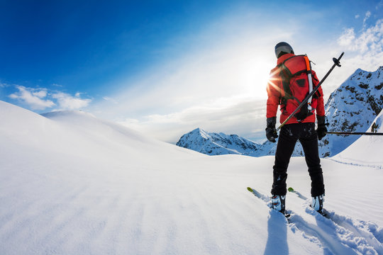 Skiing: rear view of a skier in powder snow. Italian Alps, Europ