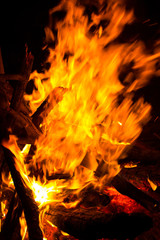 Fire flames on black background.
