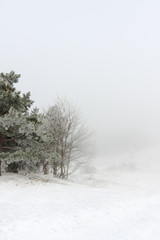 Amazing winter landscape in mountin forest, Cmas greeting card pattern