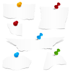 scraps of papers with pin