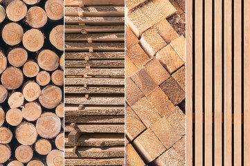 Rohstoff Holz, Verarbeitung, holzverarbeitende Industrie, Holzhandel - 96988193