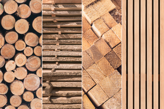 Rohstoff Holz, Verarbeitung, holzverarbeitende Industrie, Holzhandel