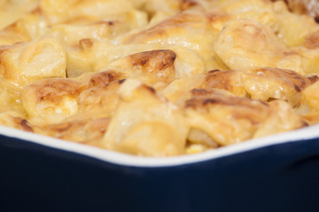Fried or baked potato with cheese and onion