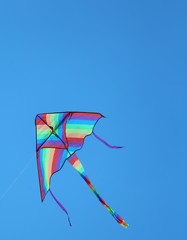 big kite flies free colored in sky blue