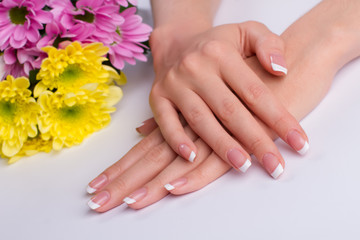 Beautiful french manicure with chrysanthemums.