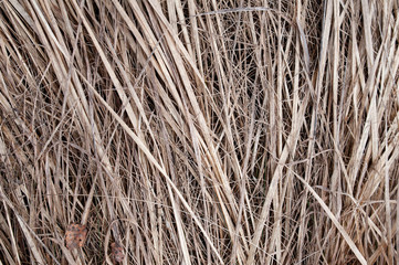 background dry straw vertical
