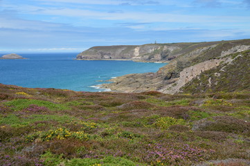  Cap Frehel