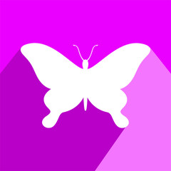 Obraz na płótnie Canvas butterfly symbol