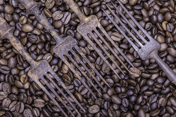 Coffee beans and old rusty forks abstract still life