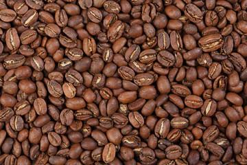 Texture of Ethiopia Sidamo (gourmet coffee).