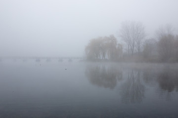 Freiburg, Seepark, Nebel, Herbst
