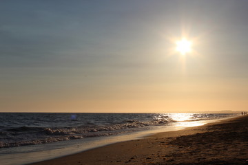 Fototapeta premium sun in beach