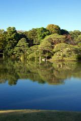 Fototapeta premium Rikugien Garden, ,Tokyo, Japan - Tokyo's most beautiful Japanese landscape garden 