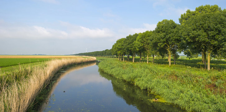 Canal through a rural landscape in summer 