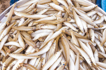 Small fish at market, in Phu quoc, Vietnam