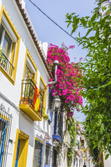 typical Andalusian streets and balconies with flowers in Marbell