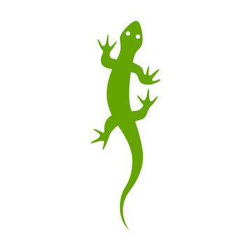 Gecko lizard flat vector icon