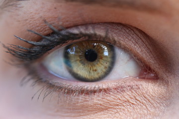 Extreme close up of green eyeball