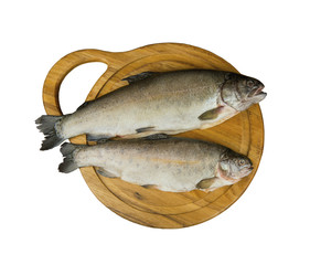 Fresh raw fish trout is two pieces on the board