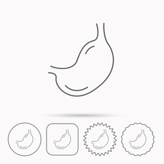 Stomach icon. Gastroscopy health sign.
