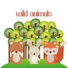 zoo animals design 