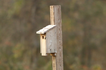 Birdhouse