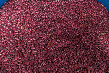 red beans, frijoles from Nicaragua