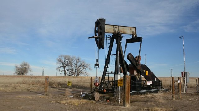 Oil Pumpjack Bobbing Donkey Pumping in a Farmer's Field on the Prairie