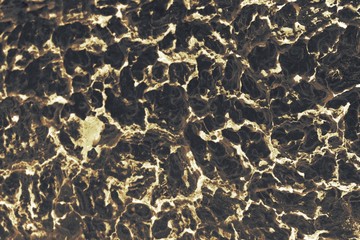 abstract of wood bark