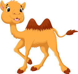Illustration of cute camel cartoon