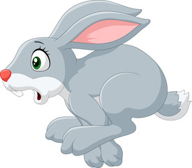 Obraz premium Cartoon panic bunny running isolated on white background