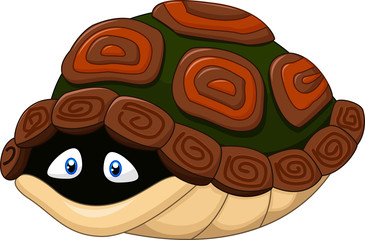 Fototapeta premium Cute turtle hides in its shell 