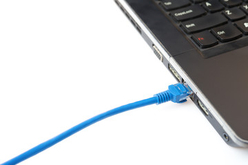 blue network cable connecting to a laptop on white