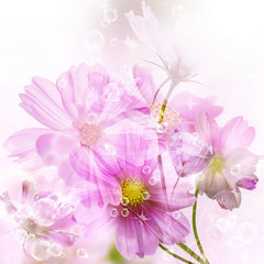 Orchid.Flowers on abstract blur spring nature background