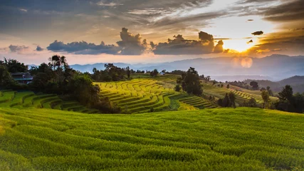Abwaschbare Fototapete Rice terraces © beerphotographer