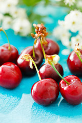 fresh cherries