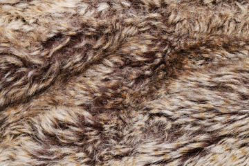 Camel wool fabric