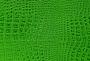 Abstract crocodile leather, can use as background