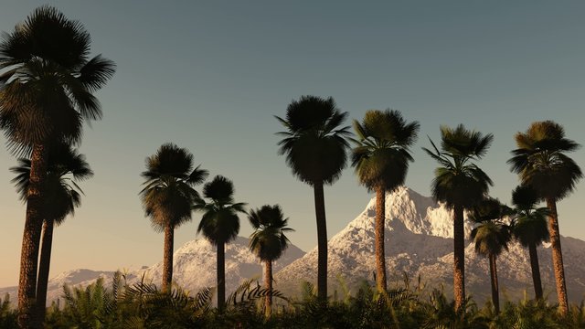 Tropical jungle background with palm tree silhouettes and mountains at sunset