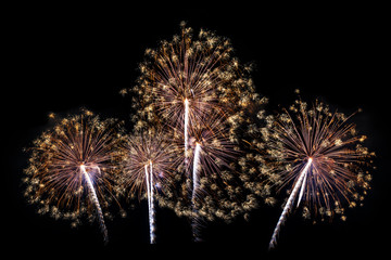 Colorful fireworks of various colors on black background